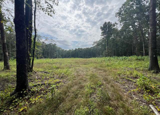 Property at 00 Caney Valley Rd, Plummerville, AR 72127