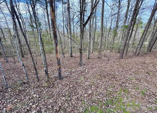Property at 3 Saldana Way, Hot Springs Village, AR 71909