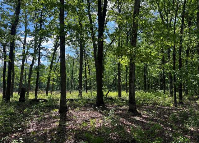 Property at 9730 Dyson Rd, Pine Bluff, AR 71603