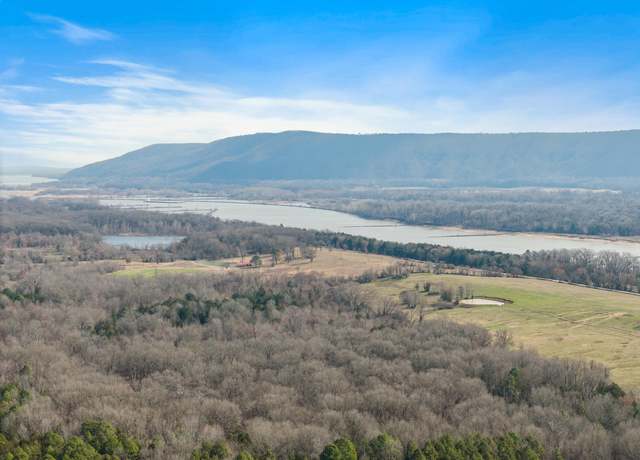 Property at 000 Hwy 105, Atkins, AR 72823