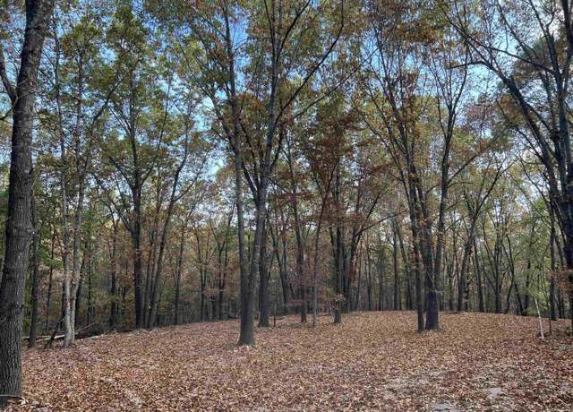 Property at 16.33 Ac Jackson Rdg, Omaha, AR 72662