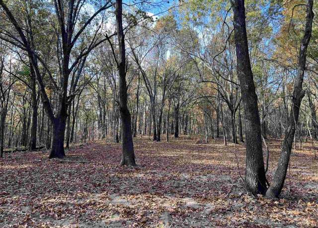 Property at 10.61 Ac Jackson Rdg, Omaha, AR 72662