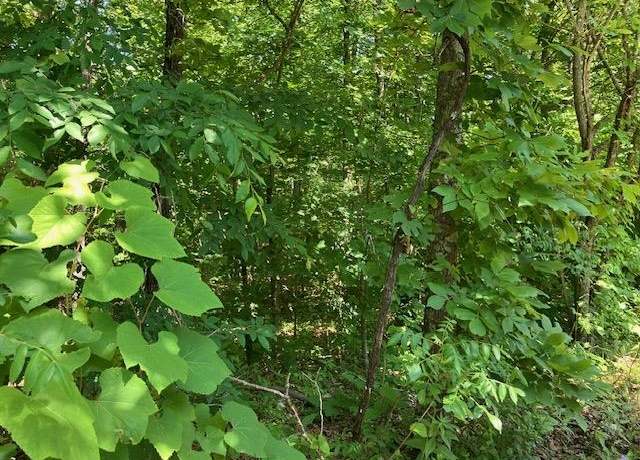 Property at 6 & 7 Hillview Addition Lot 6, Mammoth Springs, AR 72554