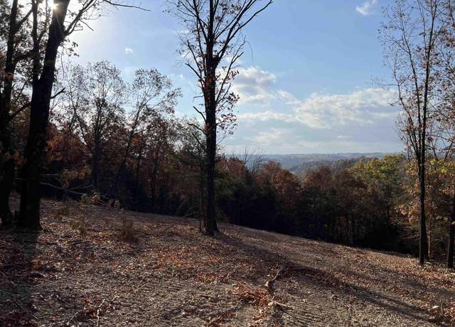 Property at 11.00 Ac Jackson Rdg, Omaha, AR 72662
