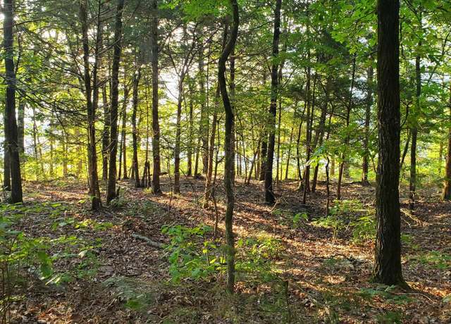 Property at Wilshire Dr, Fairfield Bay, AR 72088