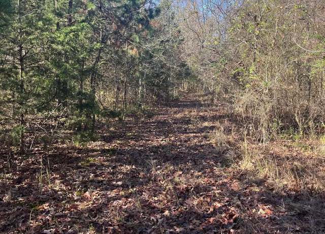 Property at Tbd Geyer Dr, Mena, AR 71953