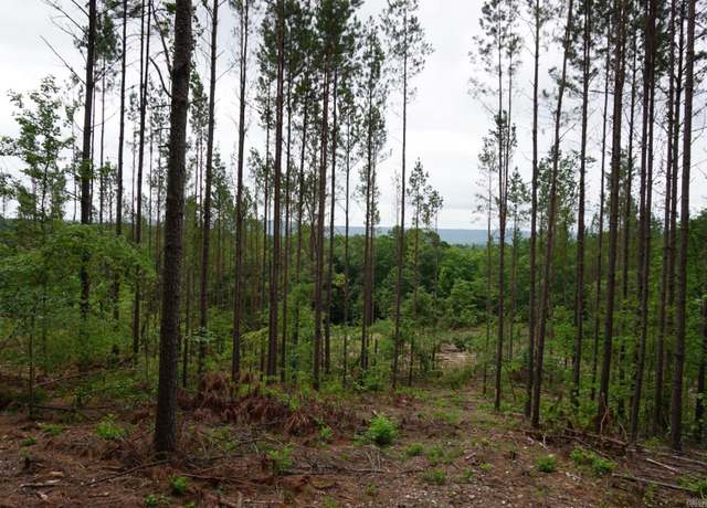 Property at Xxx Palmer Mountain Rd, Caddo Gap, AR 71935