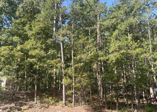 Property at 143 Viajero Dr, Hot Springs Village, AR