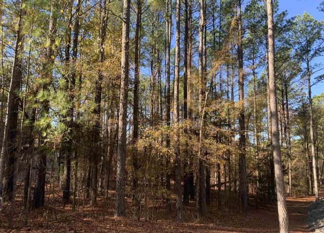 Property at 25 Victoria Ln, Hot Springs Village, AR 71909
