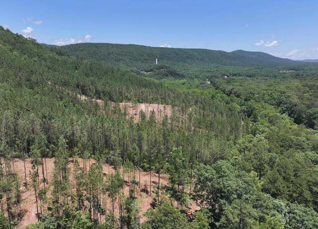 Property at Xxx Palmer Mountain Rd, Caddo Gap, AR 71935