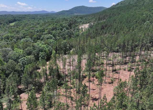 Property at Xxx Palmer Mountain Rd, Caddo Gap, AR 71935