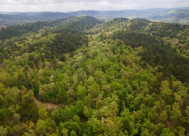 Property at 9999 Polk Road 62, Mena, AR 71953