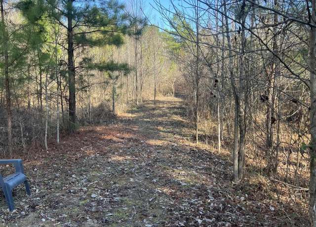 Property at Tbd Antioch Rd, Bismarck, AR 71929