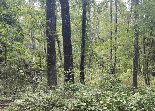 Property at Tbd Shade Grove Rd, Glendale, AR 71667