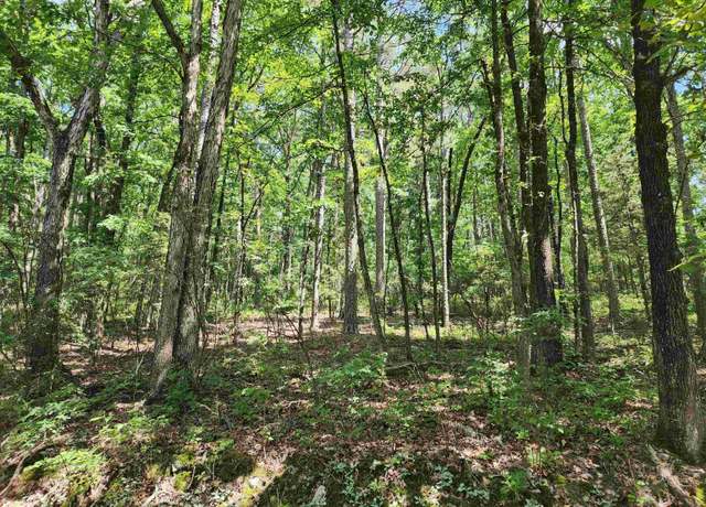 Property at 12 Belmonte Ln, Hot Springs Village, AR 71901