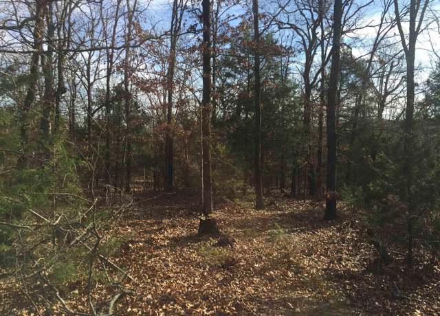 Property at 000 St Mary Ln, Rose Bud, AR 72137