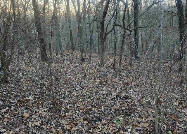 Property at L-08, B-24 Piegan Dr, Cherokee Village, AR 72529
