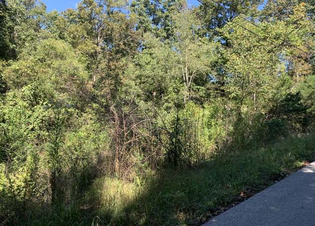 Property at 16 And 17 South St Lot 16, Midway, AR 72651