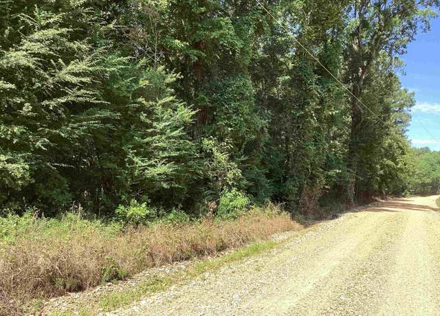 Property at 000 Hempstead 24, Blevins, AR 71825