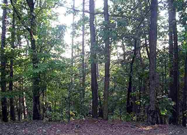 Property at 20 Tamayo Way, Hot Springs Village, AR 71909