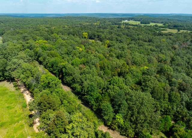 Property at 0 Mcnairn Rd, Evening Shade, AR 72532