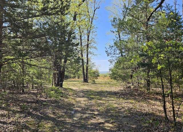 Property at Queens Rd, Big Flat, AR 72617