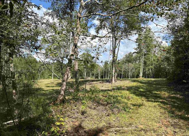 Property at Tbd Cedar Grove Rd, Arkadelphia, AR 71923