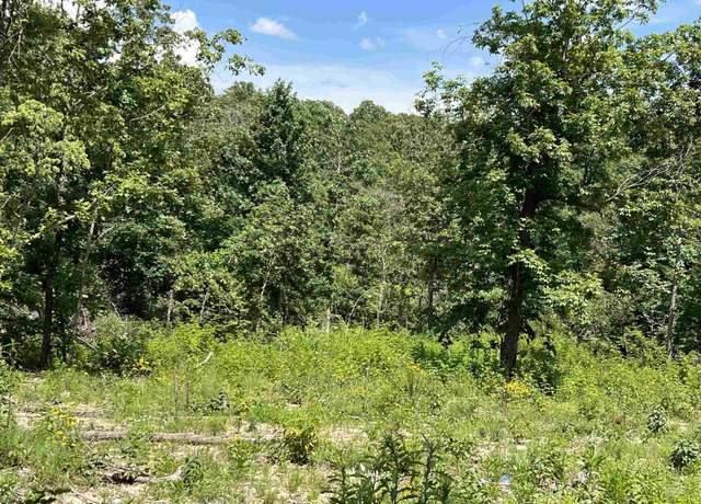 Property at 45 Pr Ridge Hvn Lot 45, Mammoth Springs, AR 72554