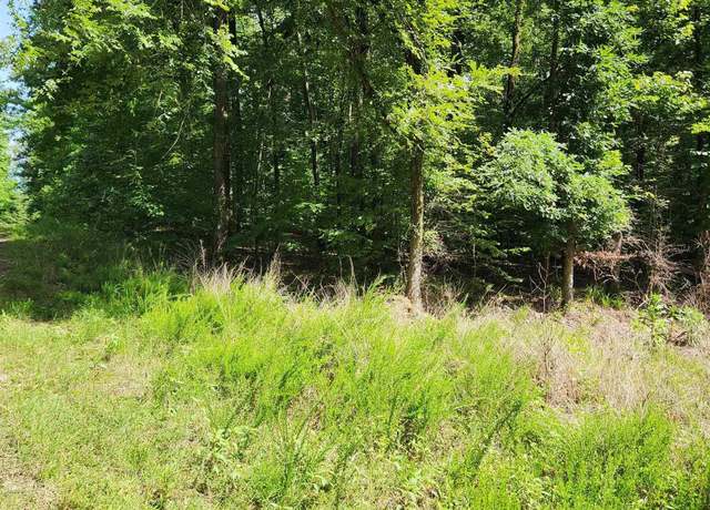 Property at 28 Edgemont, Hot Springs, AR