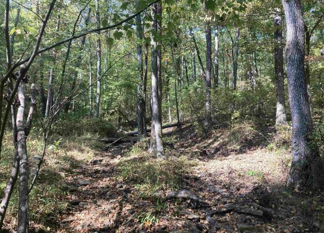 Property at 000 Mossy Ridge Rd, Mountain View, AR 72560