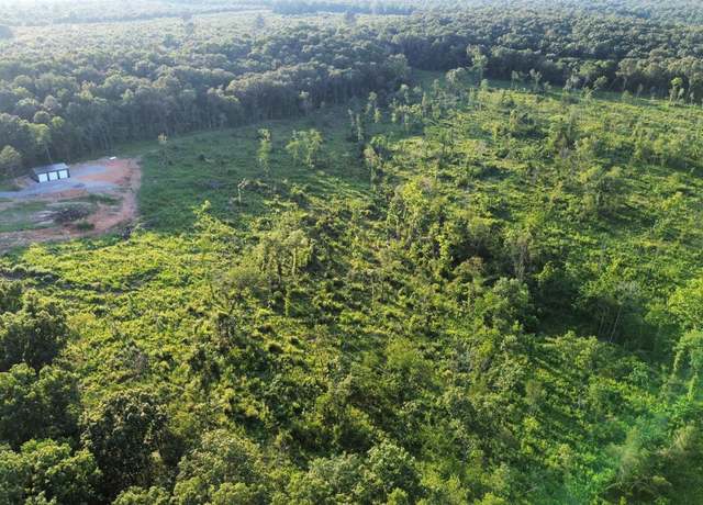 Property at 58 Simstown Crk, Evening Shade, AR
