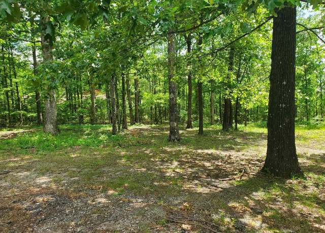 Property at Tbd Brandon Dr Lot 5, Mena, AR 71953