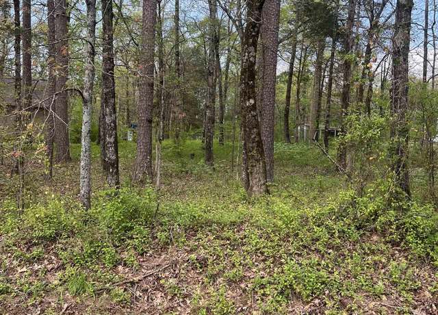 Property at #2 Lynch Rd Lot 2, Clinton, AR 72013