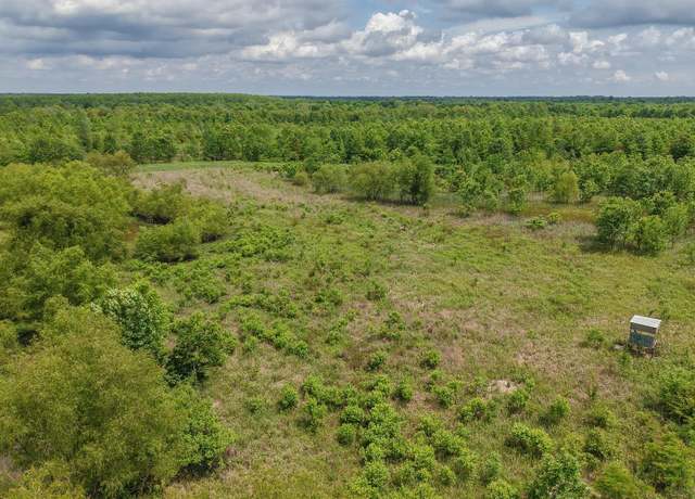 Property at Tbd Mc 65, Texarkana, AR 71854