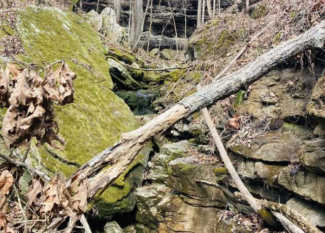 Property at 10 Campbell Ln, Calico Rock, AR 72556
