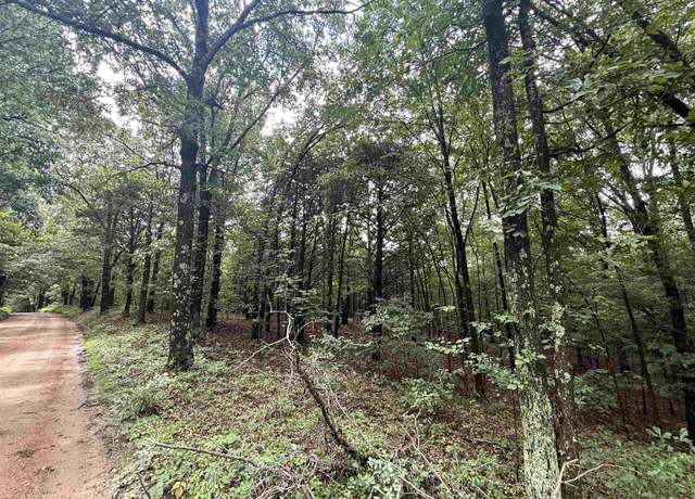 Property at 1 Clay 472/461 Rd, Piggott, AR 72454