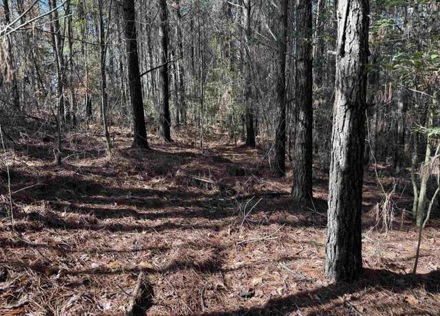 Property at Tbd Polk Road 13, Wickes, AR 71953