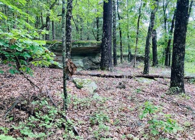 Property at 0 Dwelle Rd, Old Joe, AR 72658