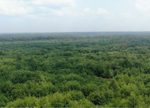Property at Metes & Bounds Calhoun, Hampton, AR 71744
