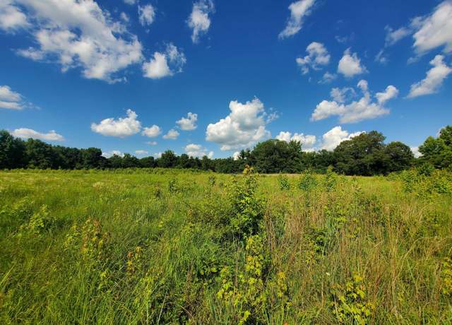 Property at 1306 Cr 461, Piggott, AR 72454