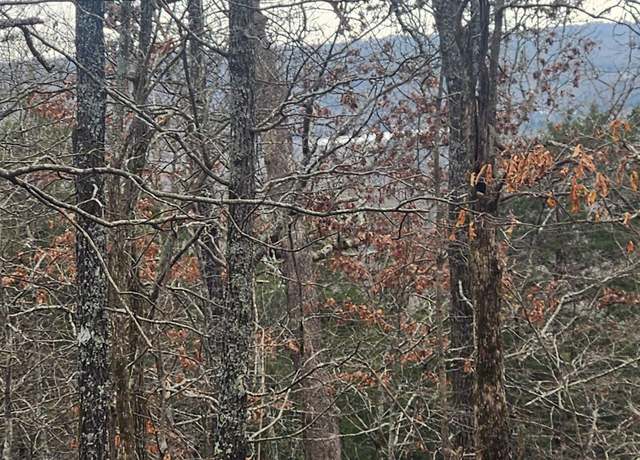 Property at L-8, B-3 Kee Trl, Hardy, AR 72542