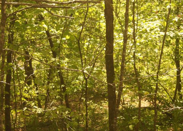 Property at 3 Booth Creek Rd Lot 3, Williford, AR 72482