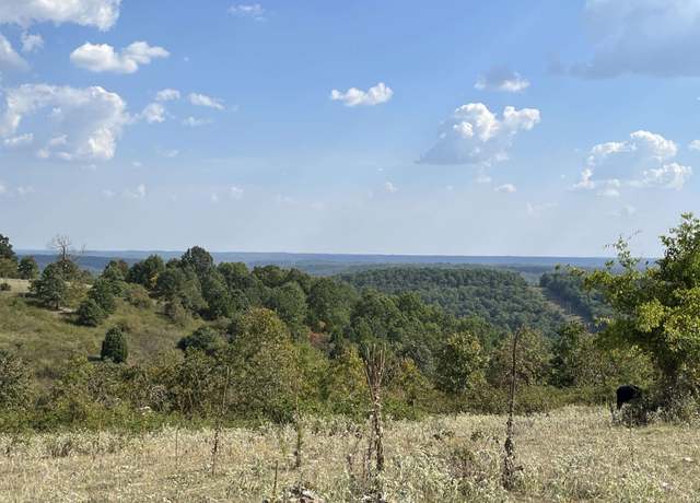 Property at Tbd Tower Rd, Ash Flat, AR 72513