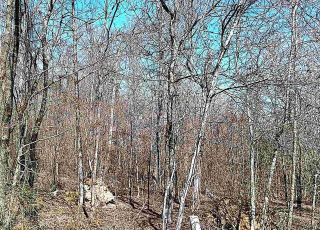 Property at 64 Cifuentes Way, Hot Springs Village, AR 71909