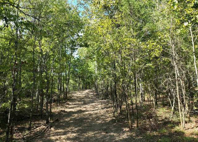 Property at Tbd, Tract 2 Polk Road 158, Mena, AR 71953