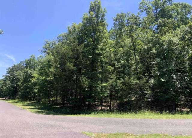 Property at 19 Campeon Ln, Hot Springs Village, AR 71909