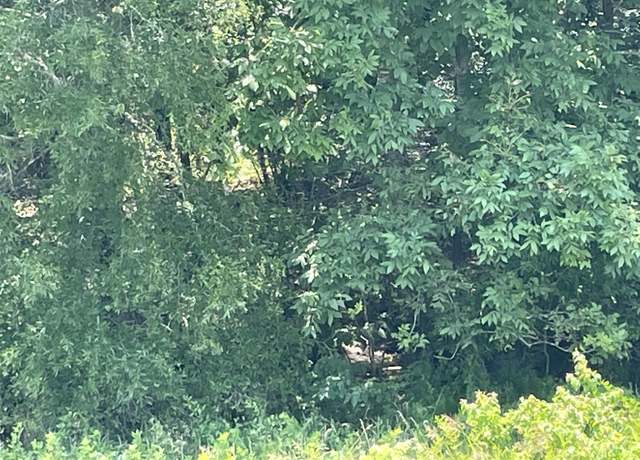 Property at 891 Hwy 5 Hwy, Rose Bud, AR 72137