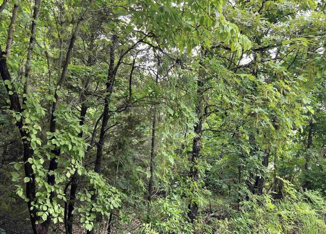 Property at 000 Hwy 63 S, Mammoth Springs, AR 72554