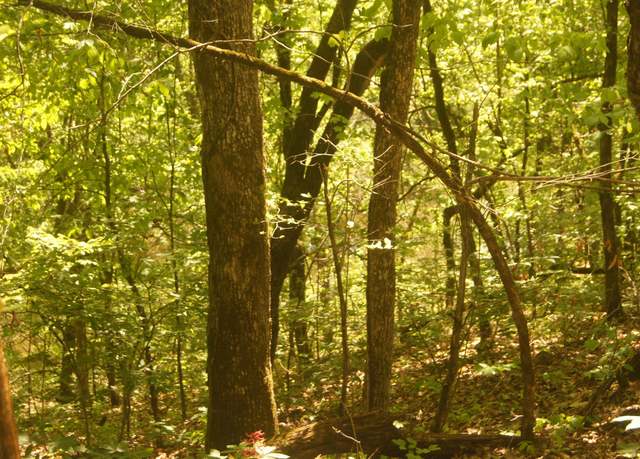 Property at 4 Booth Creek Rd Lot 4, Williford, AR 72482