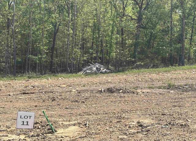 Property at 11 Madeleine Cir Lot 11, Austin, AR